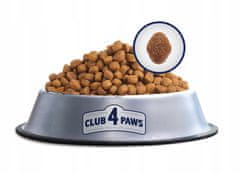 Club4Paws Premium száraz macskaeledel Indoor 14 kg