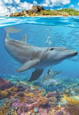 EuroGraphics Puzzle Mentsük meg a bolygónkat: Delfinek XL 250 darab