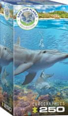 EuroGraphics Puzzle Mentsük meg a bolygónkat: Delfinek XL 250 darab