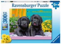 Ravensburger Puzzle - Aranyos kölykök 300 darab