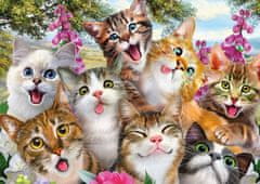 Schmidt Cat Selfie Puzzle 500 darab