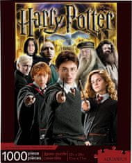 Aquarius Puzzles Rejtvény Harry Potter: Karakterek 1000 darab