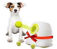 BOT BOT automata labdadobó kutyáknak L1, nagy, 6,5 cm, nagyméretű