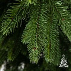 Karácsonyfa California lucfenyő 100 % 220 cm