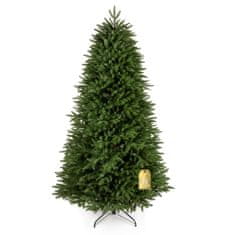 Karácsonyfa California lucfenyő 100 % 220 cm