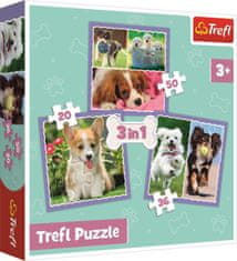 Trefl Puzzle Aranyos kiskutyák 3in1 (20,36,50 darab)