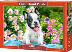 Castorland Francia bulldog kölyökkutya puzzle 500 db