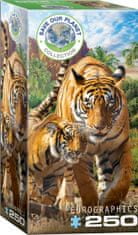 EuroGraphics Puzzle Mentsük meg a bolygónkat: Tigrisek XL 250 darab