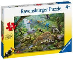 Ravensburger Puzzle - Esőerdő csodálói 60 darab
