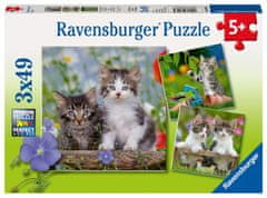 Ravensburger Puzzle Cicák/3x49 darab