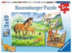 Ravensburger Puzzle Állat ölelgetés 3x49 darab