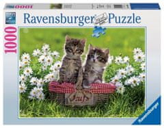 Ravensburger Puzzle Piknik a réten 1000 darab