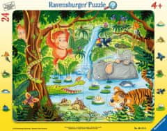 Ravensburger Dzsungel barátok puzzle 24 darab