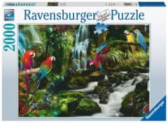 Ravensburger Dzsungel puzzle színes papagájok 2000 darab