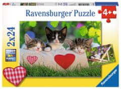 Ravensburger Álmos cicák puzzle 2x24 db