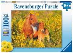 Ravensburger Puzzle Shetland pónik XXL 100 darab