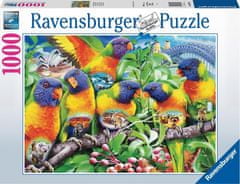 Ravensburger Papagáj Land Puzzle 1000 darabos puzzle