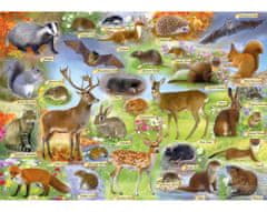 Gibsons British Wilderness Puzzle 500 darabos puzzle