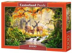 Castorland Királyi család puzzle 1000 darab