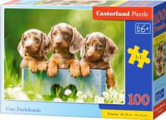 Castorland Puzzle Aranyos tacskó 100 darab