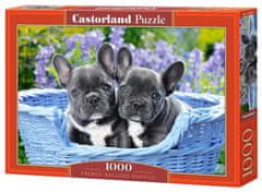 Castorland Francia bulldog kiskutyák puzzle 1000 darabos puzzle