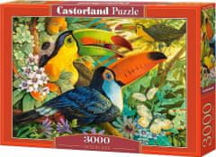Castorland Puzzle Színes tukánok 3000 darab