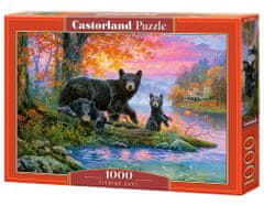 Castorland Puzzle Egy hely a halaknak 1000 darab