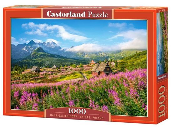 Castorland Puzzle Gąsienicowa völgy, Tátra 1000 darab