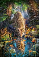 Castorland Ivó farkas puzzle 1500 darab