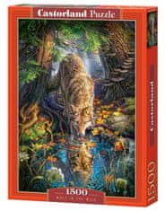 Castorland Ivó farkas puzzle 1500 darab