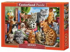 Castorland Macskaház puzzle 2000 darab