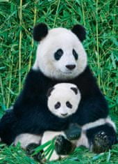 EuroGraphics Puzzle Panda és kölyök 1000 darabos puzzle