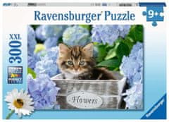 Ravensburger Puzzle Small Cats Pieces/300 darab