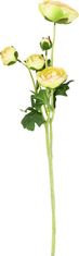 ART Ranunculus 5 fej, zöld színű. Művirág. SF1191 Művészet