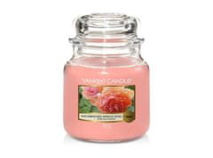 Yankee Candle Sun-Drenched Apricot Rose gyertya 411g
