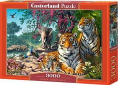 Castorland Tigrismenedék kirakó 3000 darabos puzzle