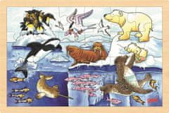 Goki Fa puzzle Sarkvidéki állatok 24 darab