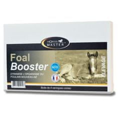 Horse Master Foal Booster 60ml (4x15 ml paszta)