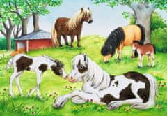 Ravensburger Puzzle World of Horses/2x24 darab
