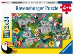 Ravensburger Puzzle - Koalák és lajhárok 2x24 darab