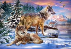 Castorland Puzzle Wolf Country 500 darab