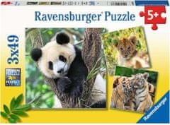 Ravensburger Panda, tigris és oroszlán puzzle 3x49 db