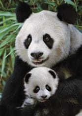 DINO Puzzle Panda babával 1000 darab