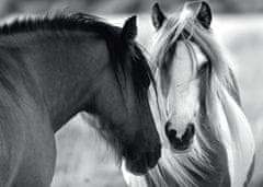 DINO Fekete-fehér lovak 1000D