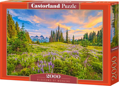 Castorland Puzzle Reggeli virágok 2000 darab