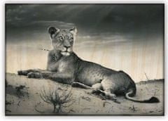 Helma Fafestmény: oroszlán, 485x340