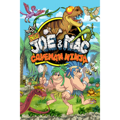 Microids New Joe & Mac - Caveman Ninja (PC - Steam elektronikus játék licensz)