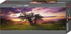 Heye Panoráma puzzle Tölgyfa, Columbia Hills State Park 2000 darab
