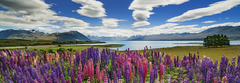 Heye Panoráma puzzle Lake Tekapo, Új-Zéland 1000 darab