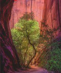 Heye Puzzle Power of Nature: Éneklő kanyon 1000 darab